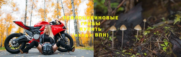 MDMA Беломорск